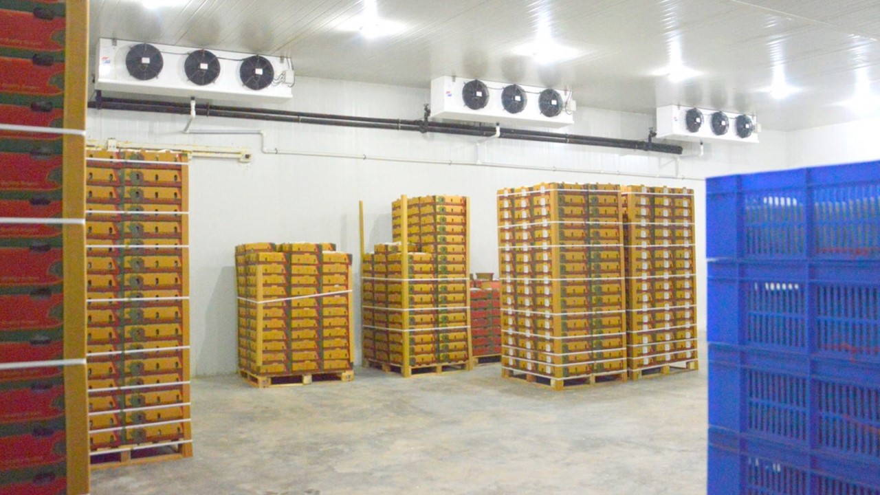 Large Grapes cold storage facility with PUF Panels and refrigeration unit PUF Panels with Refrigeration unit for large cold storage facilities such as Holding room, Pre-Cooling chamber, Cold storage chamber, Pack house, Ante-room for storage of Fruits, vegetables, flowers, fish, poultry, dairy, frozen food, processed food, and much more.